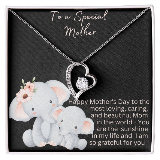 Show that Special Mom in Your Life How Much She Means To You