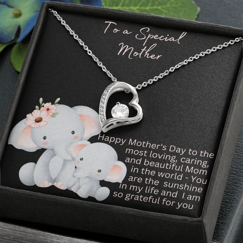Show that Special Mom in Your Life How Much She Means To You