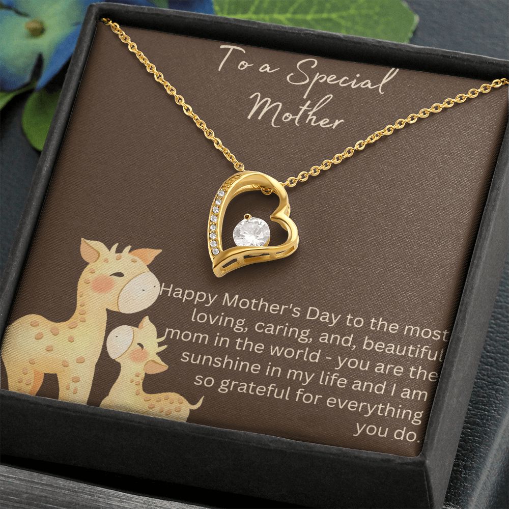 Show That Special Mother In Your Life How Much You Care