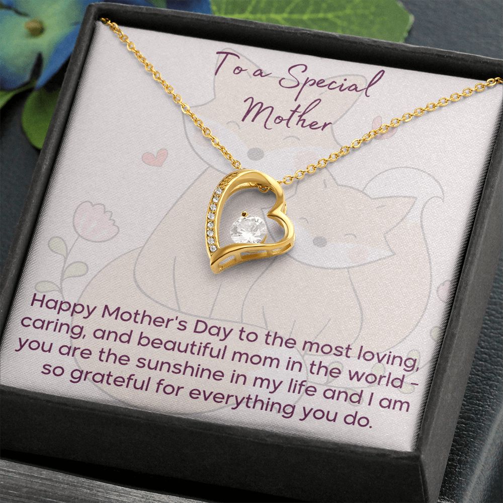 Show That Special Mother In Your Life How Much She Means To You